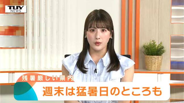 山形県内　各地で気温上がる　週末は暑くなる見込み|TBS NEWS DIG