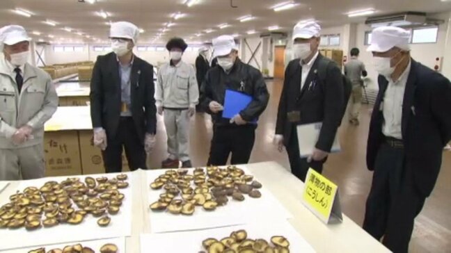 「ぜひとも食べてほしい」県産乾ししいたけの審査会 最高位の農林水産大臣賞には… 愛媛県|TBS NEWS DIG