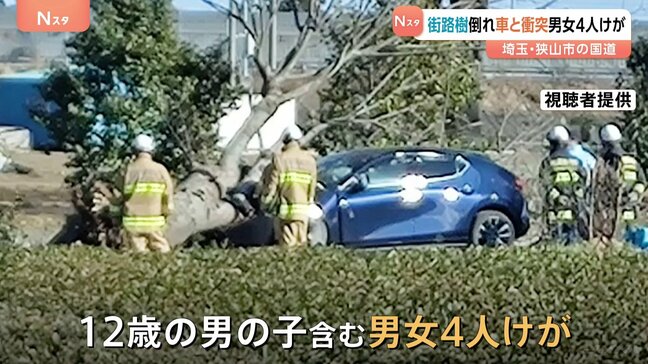 「車が倒木と衝突した」国道で街路樹が倒れ走行中の車に衝突　男女4人がけが　高さ約12メートル 太さ約1メートルの欅の木　埼玉・狭山市　|TBS NEWS DIG