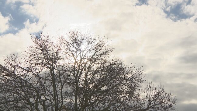 久留米市で今季最低マイナス2.4℃ 福岡県内各地で冷え込み 山陽新幹線は新大阪~博多で一部列車に遅れも|TBS NEWS DIG