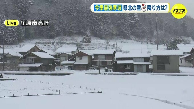 今季 最強寒波　広島県北部の雪 降り方は？ 庄原市高野 23日午後4時50分ころの様子|TBS NEWS DIG