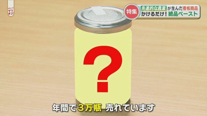 かけるだけで本格イタリアン！？阿蘇発の万能ペーストとは　|　熊本のニュース｜RKK NEWS｜RKK熊本放送