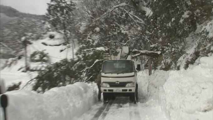 山間の３世帯７人「孤立状態」続く…大雪による倒木が道ふさぐ 鳥取県　|　BSSニュース | BSS山陰放送