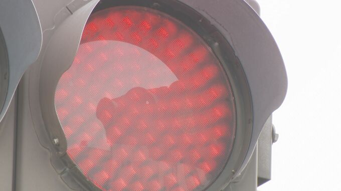 助手席の男が「赤信号無視」を指示し男性死亡 危険運転致死罪で男女2人に懲役6年 “共謀成立”全国初か|TBS NEWS DIG