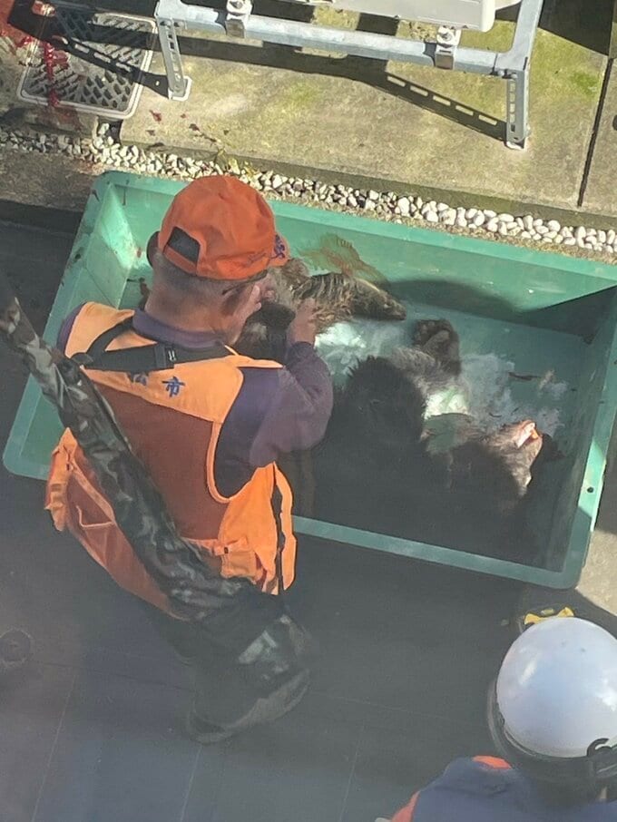 民家にクマが３時間…「明日からも心配」猟友会が駆除　石川県・小松市　|　石川県のニュース｜MRO北陸放送