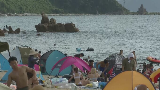“かみつきイルカ”また大暴れ 7針縫うなど2人けが 福井・美浜町の水晶浜海水浴場　|　石川県のニュース｜MRO北陸放送