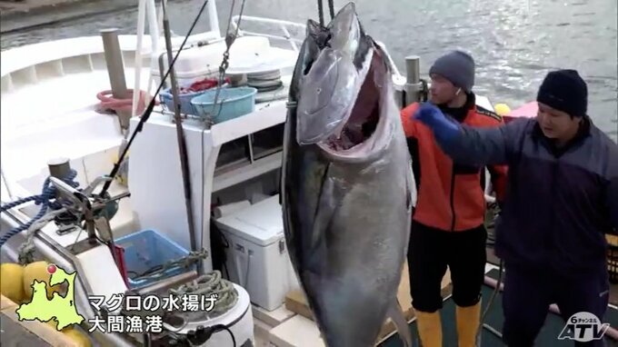 「獲れただけでよかった！値段はどうでもいい！」大間のマグロが2024年の初競りに向け『初水揚げ』　約145キロの“海のブラックダイヤモンド”|TBS NEWS DIG