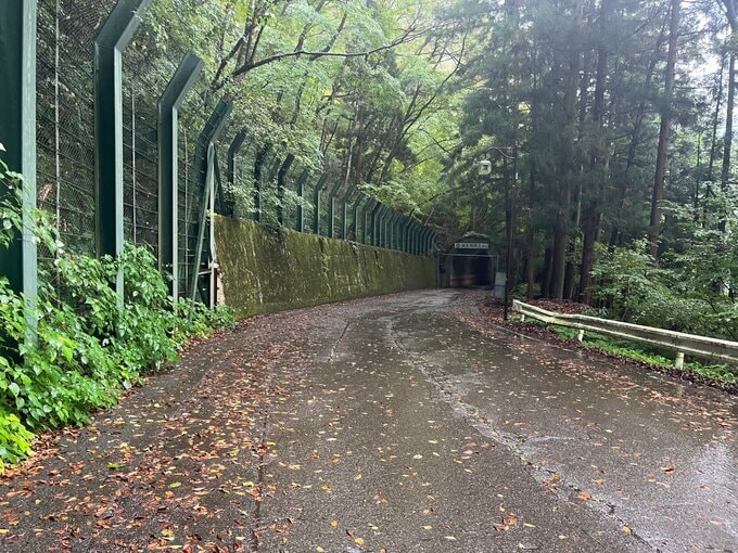 バイクで出勤中、目の前にクマ3頭…避けようと転倒、親グマに襲われ40代男性けが　福島・会津若松市|TBS NEWS DIG