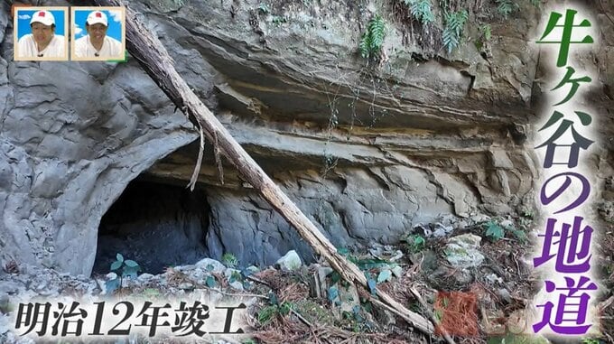 「これは鳥肌たつ！」静岡県の山中に眠る素掘り隧道　明治初期に造られた「牛ヶ谷の地道」とは  道との遭遇　|　名古屋・愛知・岐阜・三重のニュース【CBC news】 | CBC web