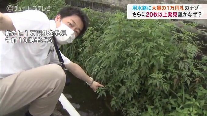 １万円札さらに20枚！どこから？誰が？　用水をたどってみると…富山　|　富山のニュース｜天気・防災｜チューリップテレビ