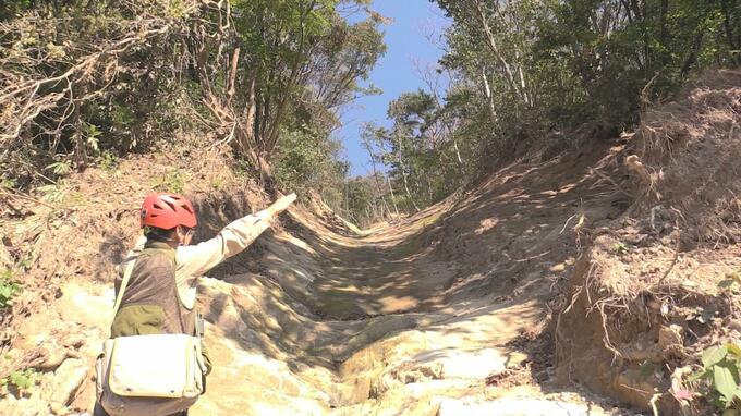 線状降水帯発生の“豪雨”から1か月　青森県鰺ヶ沢町で発生した「山間部の土砂崩れ」　専門家は「段丘崖」と呼ばれる独特の地形が要因の1つだと指摘　「かなりもろい地盤」過去に崩れたところが大雨で表層崩壊か|TBS NEWS DIG