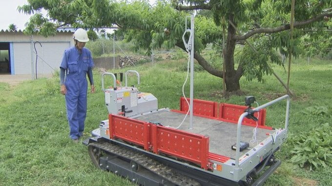 【高所作業機の下敷き】モモの産地で相次ぐ農作業中の死亡事故　注意点は？|TBS NEWS DIG