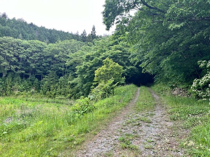 「将来を悲観した」妻の口元を濡れタオルでふさぎ殺害未遂か　無職の64歳男逮捕　福島・田村市|TBS NEWS DIG