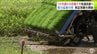 約1か月遅れで田植えをする実証実験はじまる　狙いは最も暑い時期での出穂期を避けること　青森県は結果次第で技術の普及を進める方針　|　青森のニュース│ATV NEWS│青森テレビ