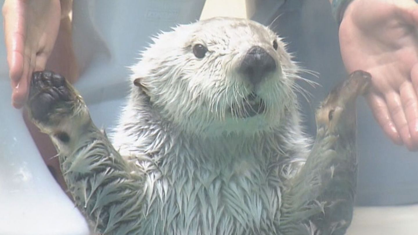 img_9d9d7b15d4fe09e5b72fb0a48f