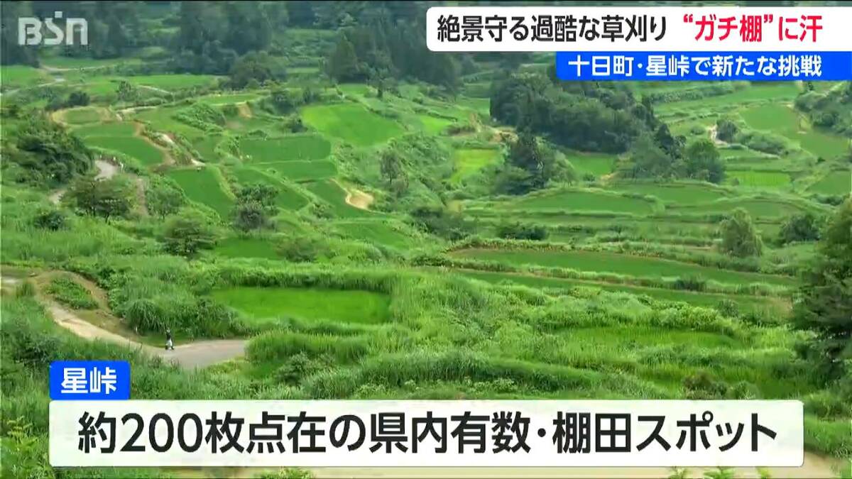 絶景「星峠の棚田」 急斜面でガチにハードな草刈りボランティア 通称