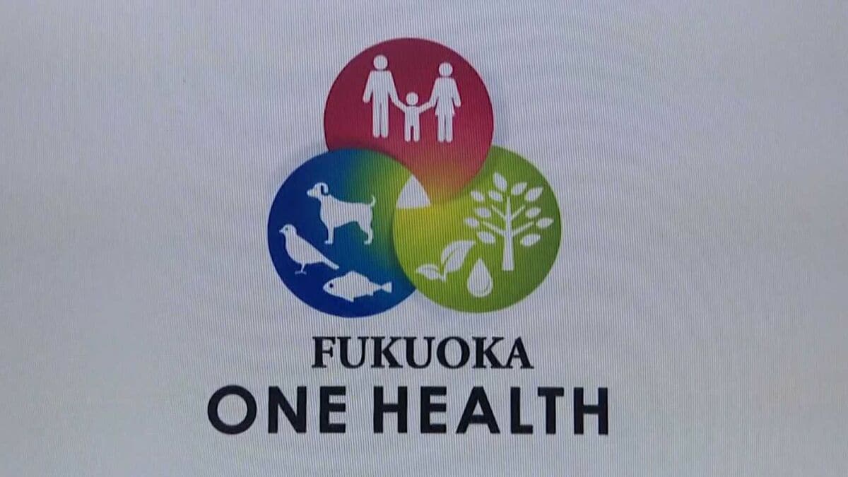 ３億円超のモニュメントも　知事が掲げる「ワンヘルス」とは？その成果は？県民にどれだけ浸透？福岡県政を検証 | TBS NEWS DIG (4ページ)