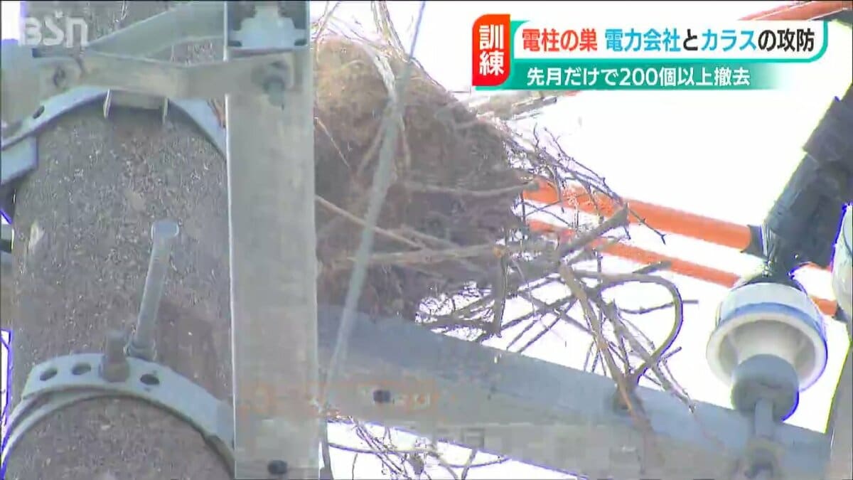 停電 福島、宮城で震度6強 解説】震源から離れた地域で停電が起きたワケは？ 絵画