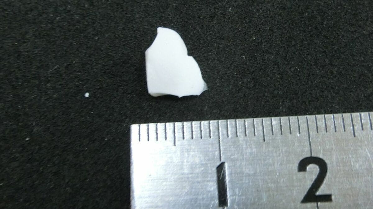 小学校の給食に“磁器の破片”が混入 小学4年の女子児童がよけて食べた後「卵のカラが入っていた」と報告し発覚 欠けた食器のカケラか 三重・伊勢市