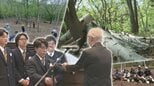 ＳＤＧｓ甲子園全国交流会の岩手県代表に選ばれた久慈翔北高校　当日紹介するシラカバを科活用した取り組みに迫る　|　IBC NEWS | IBC岩手放送
