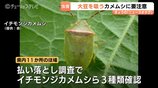 大豆のカメムシ害虫数が過去最多!富山県が病害虫注意報…高温影響で例年比6倍超に!収穫量減、品質低下に警戒感高まる | 富山のニュース|天気・防災|チューリップテレビ