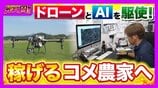 【令和のコメ騒動】政治に翻弄されるコメ農家　「稼げない」年齢を理由にコメ作り辞めるケースも…「小規模」「高齢化」という課題にAIやドローンを駆使！「稼げる農家」も【ガチの門】　|　MBSニュース | 関西の最新ニュースを分かりやすく。
