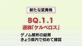 新型コロナ 9日 宮崎県内で新たに1055人感染発表 変異株「ケルベロス」初確認 | MRTニュース | MRT宮崎放送