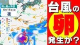 【台風のたまご＝熱帯低気圧】発生へ  沖縄の南へ北上か？【雨と風のシミュレーション6日（水）～15日（金）／全国各都市の週間予報】気象庁予想天気図に「熱帯低気圧」|TBS NEWS DIG