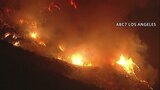 犠牲者は計16人に　ロサンゼルスの山火事で捜索活動が本格化|TBS NEWS DIG