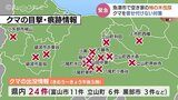 クマを寄せ付けないために!空き家の柿の木を緊急伐採 富山・魚津市|TBS NEWS DIG
