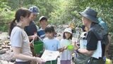 「都会にはいない虫がいた!」長野・安曇野市の沢で水生生物の観察ツアー|TBS NEWS DIG