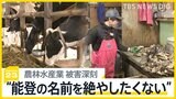 震災によって甚大な被害“世界農業遺産”の農業・漁業・畜産業　地震発生3日目から漁を再開した牡蠣養殖業者「能登の名前を絶やしたくない」【news23】|TBS NEWS DIG