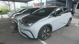中国のEVメーカー・BYDの「DOLPHIN」130台が沖縄県内でレンタカーとして運用開始 フル充電で470キロ走行 | 沖縄のニュース|RBC 琉球放送