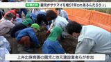 「でっかー！」「3個連続で採れた！」自ら植えたサツマイモを保育園児たちが収穫＝静岡・富士宮市　|　静岡のニュース | SBSNEWS | 静岡放送