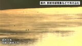 高知県四万十市で-4.5℃ 高知県内 放射冷却現象などで冷え込む | 高知のニュース・天気|KUTV NEWS | KUTVテレビ高知