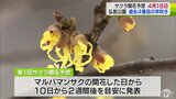 桜の名所・弘前公園で『独自』のサクラの開花予想発表　園内のソメイヨシノの開花は4月16日と予想　予想通りの開花となれば過去4番目の早咲きに　|　青森のニュース│ATV NEWS│青森テレビ