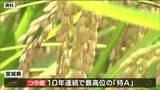 宮城県産“つや姫”が10年連続で「特Ａ」コメの食味ランキング　|　宮城のニュース│tbc NEWS│tbc東北放送
