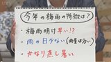 今夜は夜間の熱中症に注意を! 11日は梅雨空続きムシムシしそう 今年の梅雨の特徴も含め 米津龍一気象予報士が解説 山梨|TBS NEWS DIG