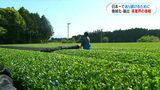 初の生産量日本一 鹿児島の荒茶 人口減少や茶離れに向け スマート農業や海外輸出も | 鹿児島のニュース|MBC NEWS|南日本放送