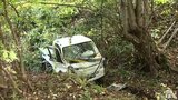 運転手の89歳の男性死亡「軽トラックが沢に転落している」畑から約7.3m下に軽トラックが転落 現場は木が生い茂る急な斜面 青森県大鰐町|TBS NEWS DIG