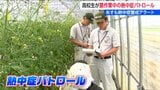 厳しい暑さのなかで農作業中の人に『熱中症パトロール』水分補給などの注意を高校生が呼びかけ 新潟・村上市|TBS NEWS DIG