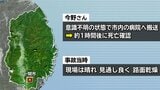 中央線を越えてはみ出した乗用車が対向車のトラックと衝突 80歳女性が死亡 岩手県一関市 | IBC NEWS | IBC岩手放送