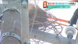 「漏電が起きて停電に」“カラスの巣”原因で12件の停電が… カラスvs電力会社“春の攻防”|TBS NEWS DIG