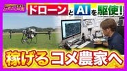 【令和のコメ騒動】政治に翻弄されるコメ農家　「稼げない」年齢を理由にコメ作り辞めるケースも…「小規模」「高齢化」という課題にAIやドローンを駆使！「稼げる農家」も【ガチの門】　|　MBSニュース | 関西の最新ニュースを分かりやすく。