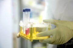 米国からの頭脳流出は「好機」－科学者呼び込みへカナダや欧州が奔走| TBS CROSS DIG with Bloomberg