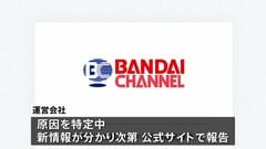 「バンダイチャンネル」全サービスを一時的に停止　不正アクセス疑いのため　アニメや特撮など約4700作品を扱う動画配信サービス| TBS CROSS DIG with Bloomberg