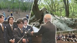 ＳＤＧｓ甲子園全国交流会の岩手県代表に選ばれた久慈翔北高校　当日紹介するシラカバを科活用した取り組みに迫る|TBS NEWS DIG