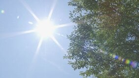 あす25日　沖縄・八重山地方に「熱中症警戒アラート」 全国で今年初めて|TBS NEWS DIG