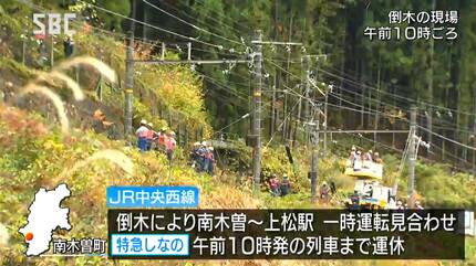 倒木 倒木で一時通行止め 10日、徳島市の市道｜社会｜徳島ニュース｜徳島