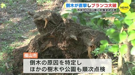 樹木医「天気が1つの要因」 倒木が直撃し 公園のブランコ大破 以前